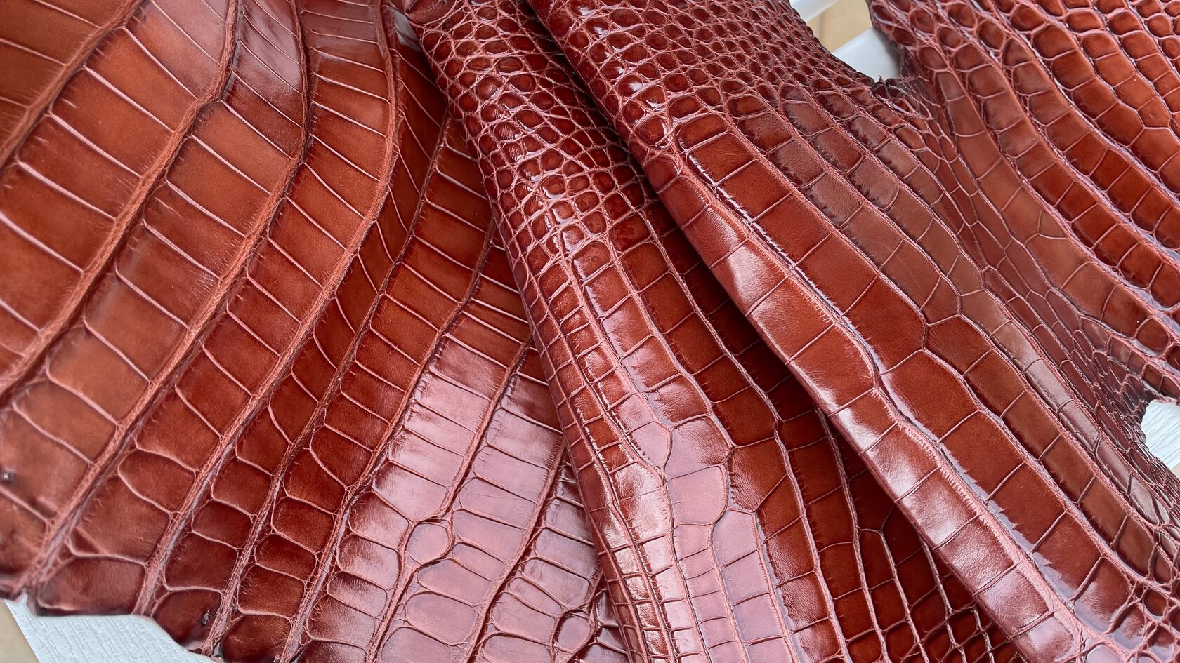 Understanding Crocodile Skin Density