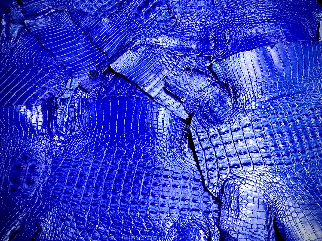 Caiman vs. Nile — Which Reigns Supreme for Your Handbag?