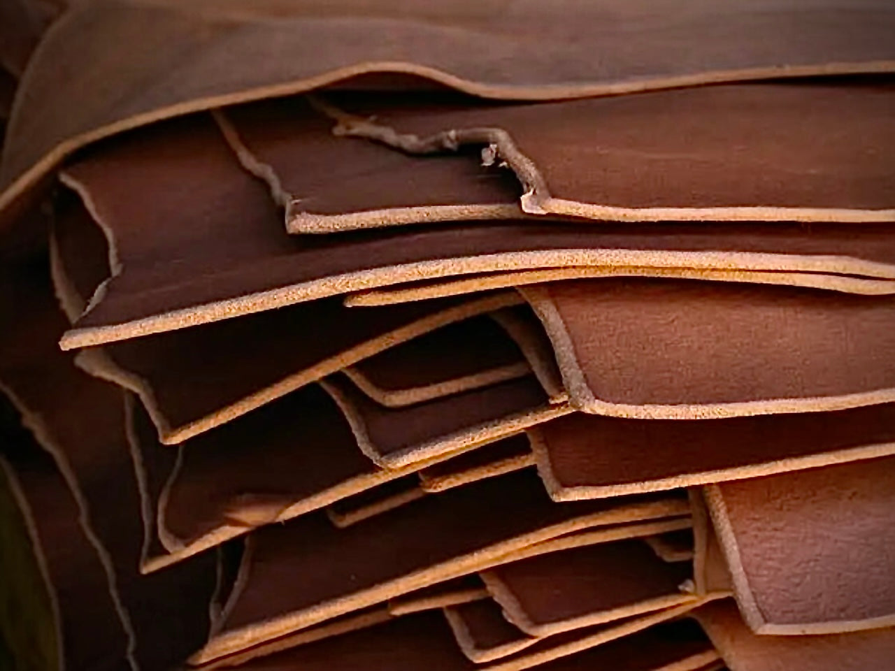 Vegetable-tanned leather