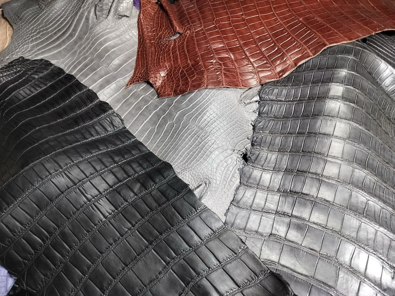 🥇🥈🥉 Grading (Grade) of Crocodile Leather🐊