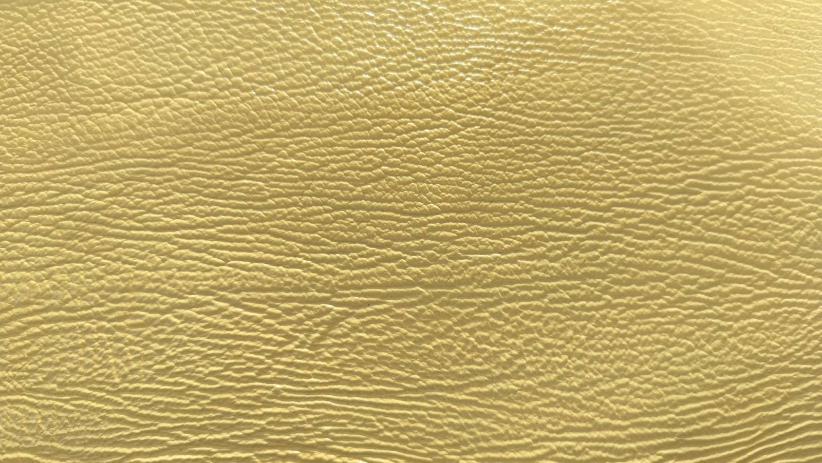 What Should Be Known About Shark Leather?