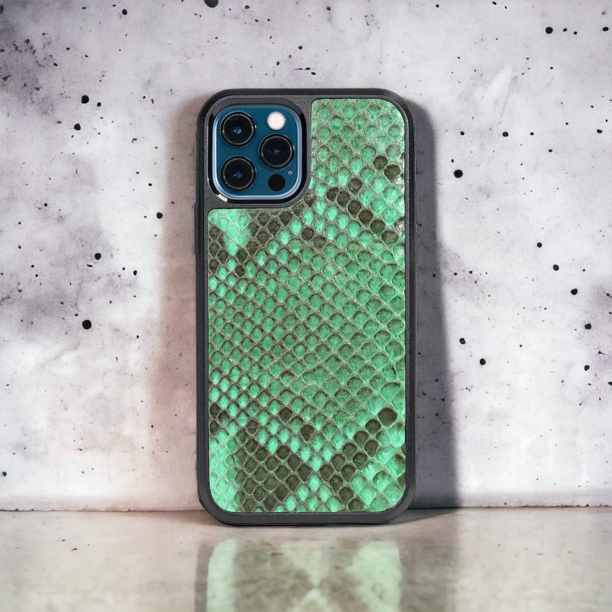 Classic Case For iPhone 12 Pro & 12 in Python