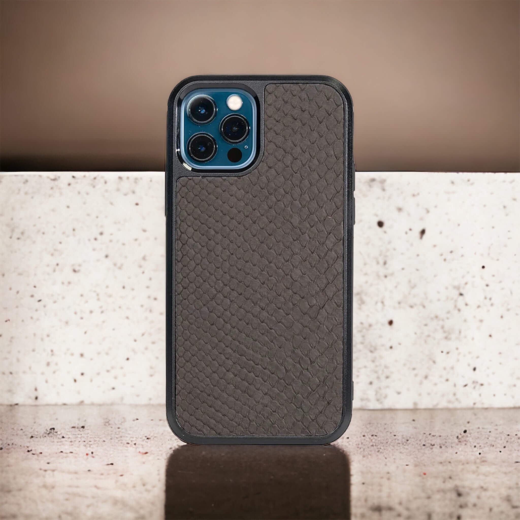 Classic Case For iPhone 12 Pro & 12 in Python