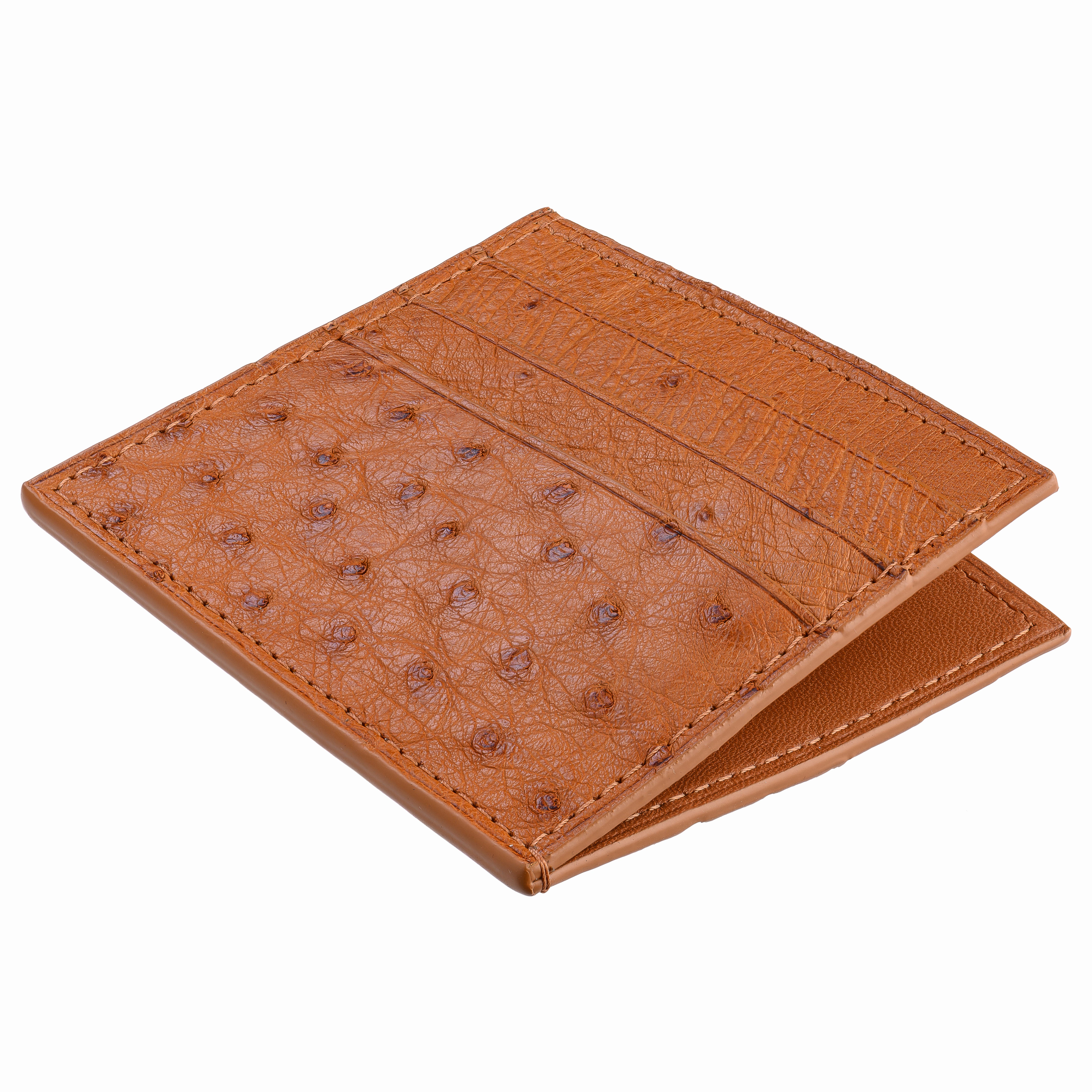 6-Card Holder in Ostrich