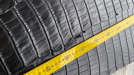 All About the Crocodile Skin Sizes