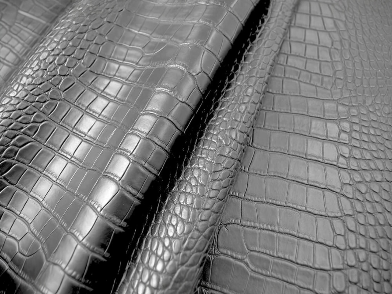 The Ultimate Guide to Caring for Crocodile & Alligator Leather