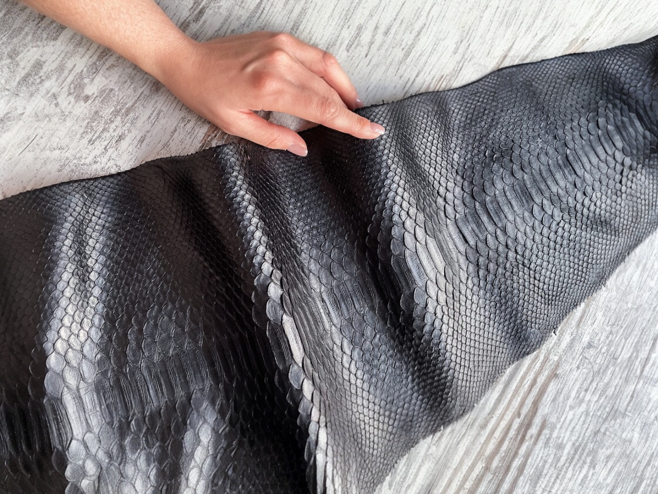 Python Species in the Global Exotic Leather Trade