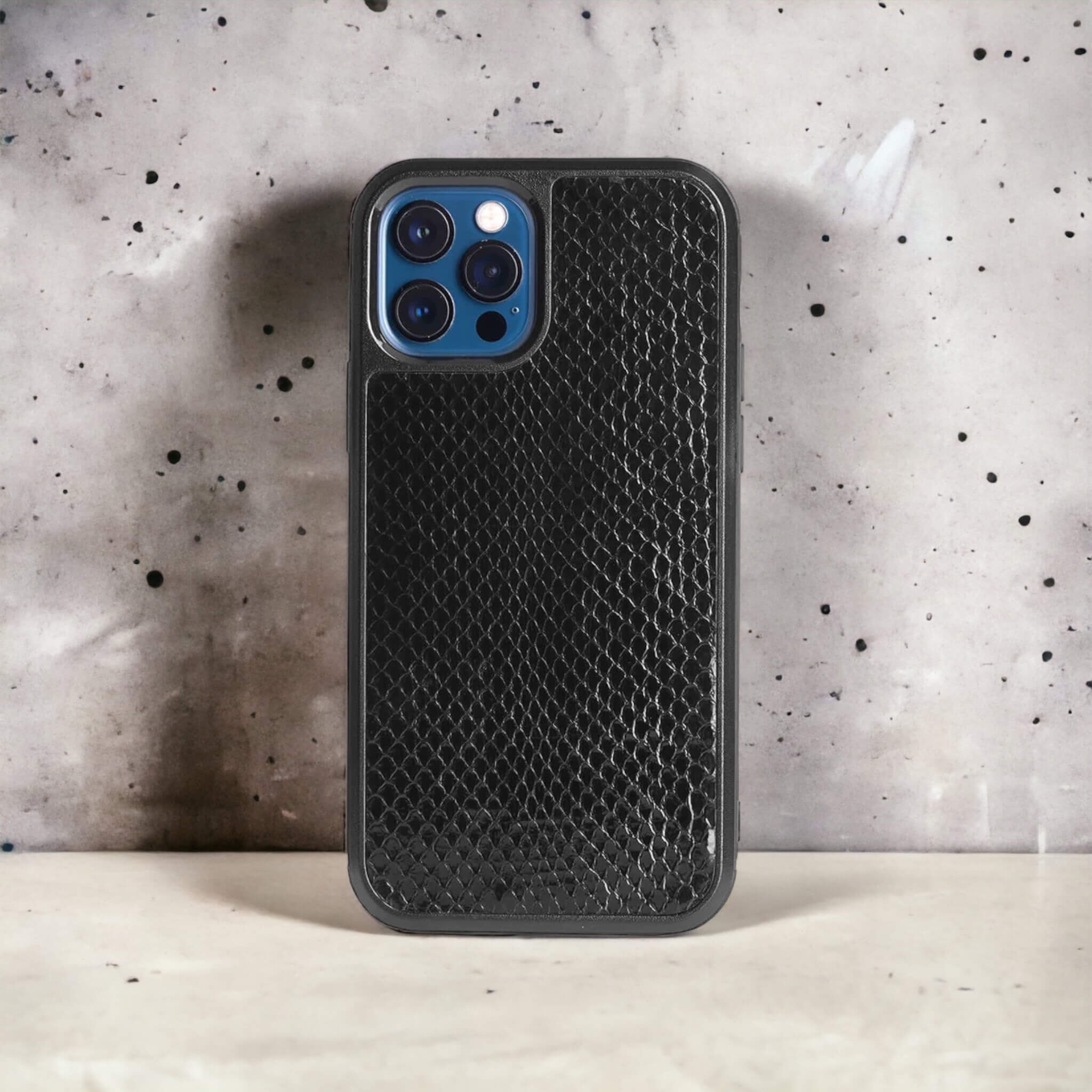 Classic Case For iPhone 12 Pro & 12 in Python