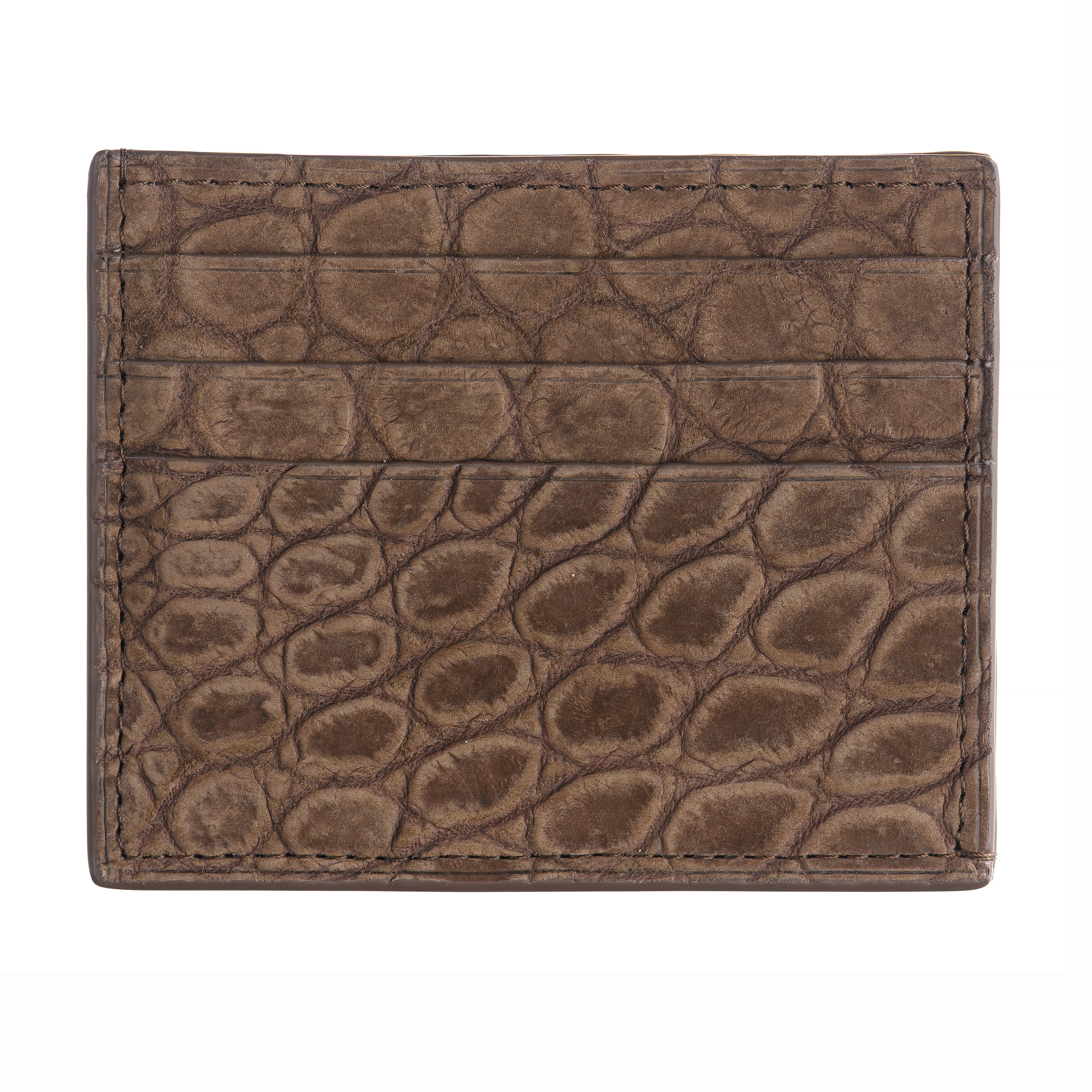6-Card Holder in Alligator