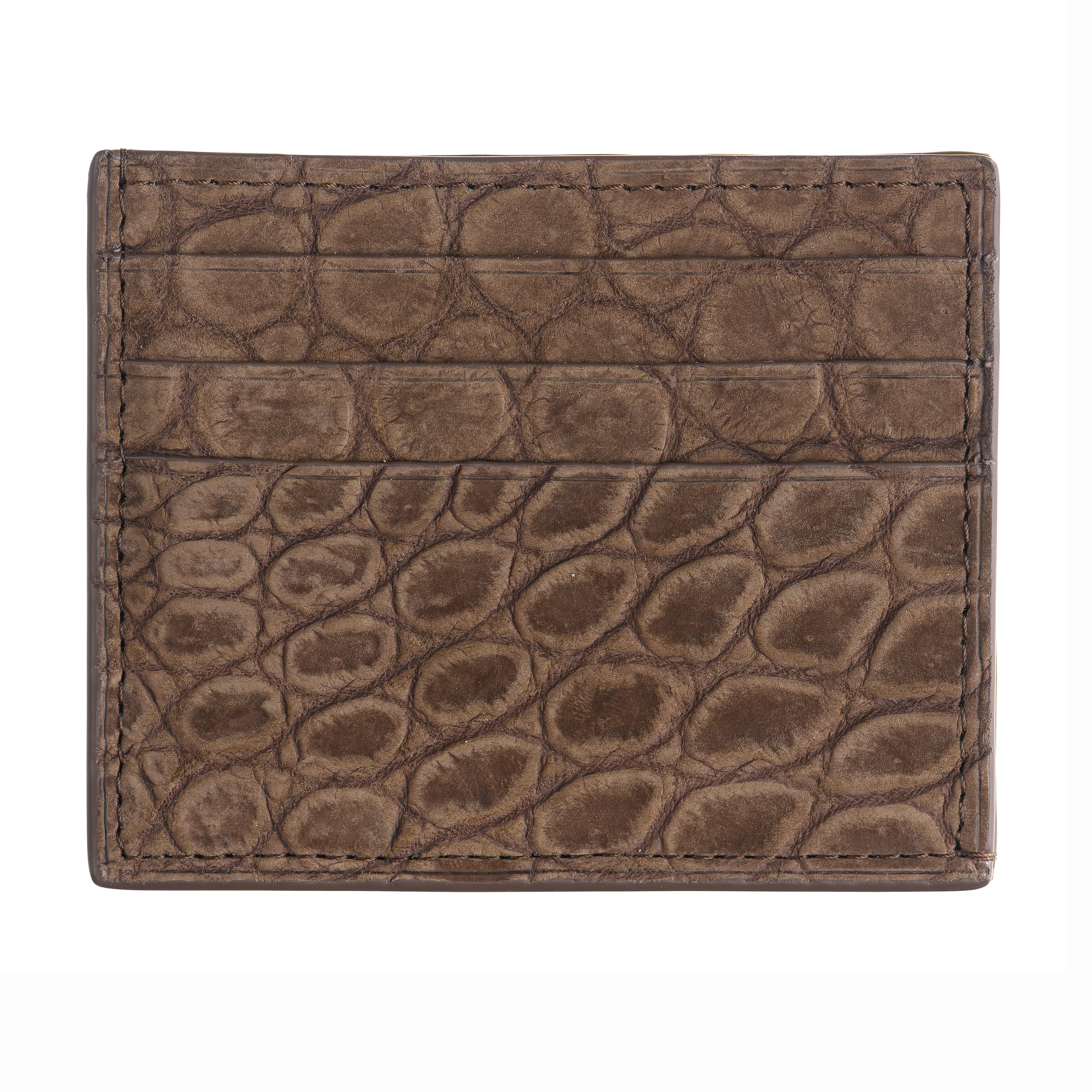 6-Card Holder in Alligator