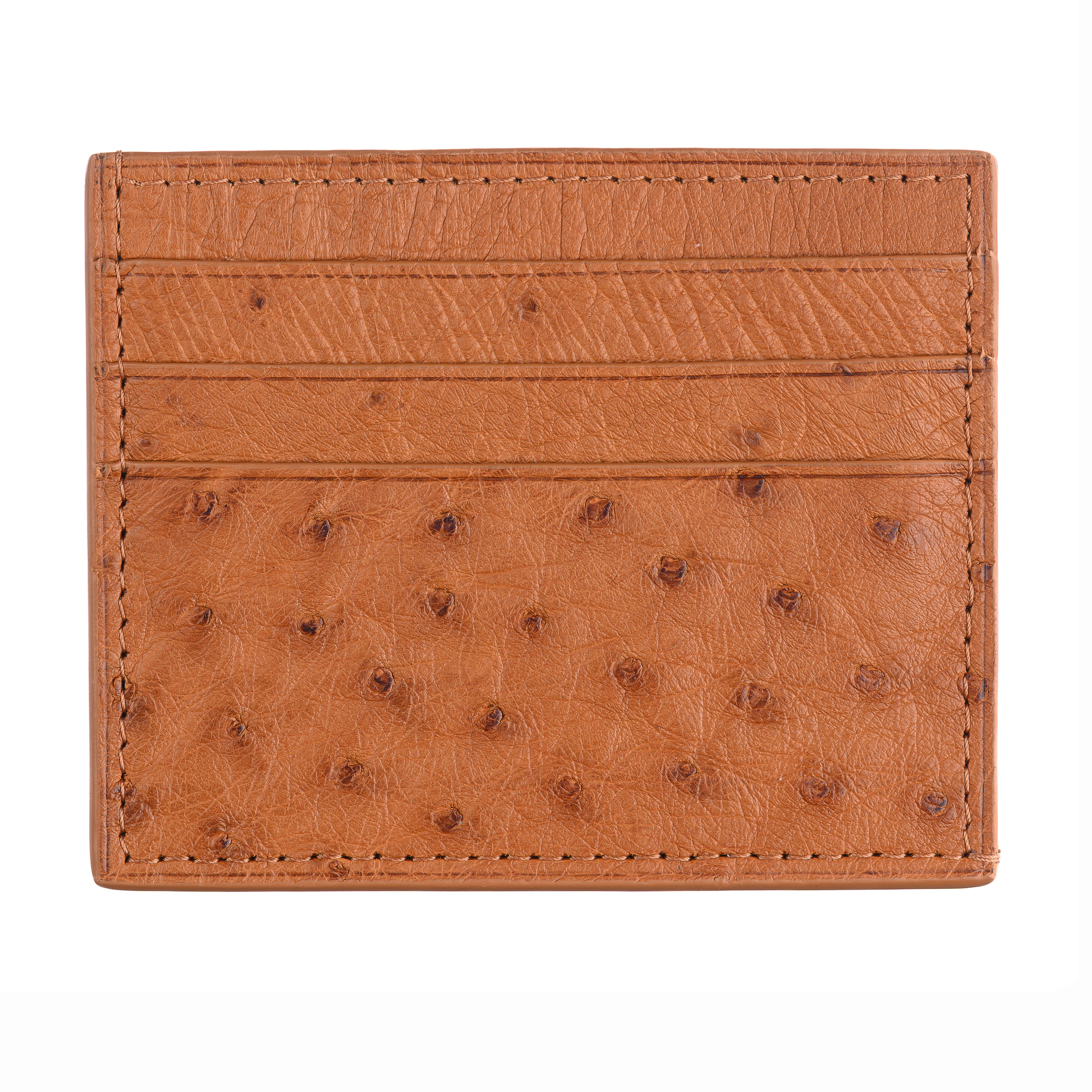 6-Card Holder in Ostrich
