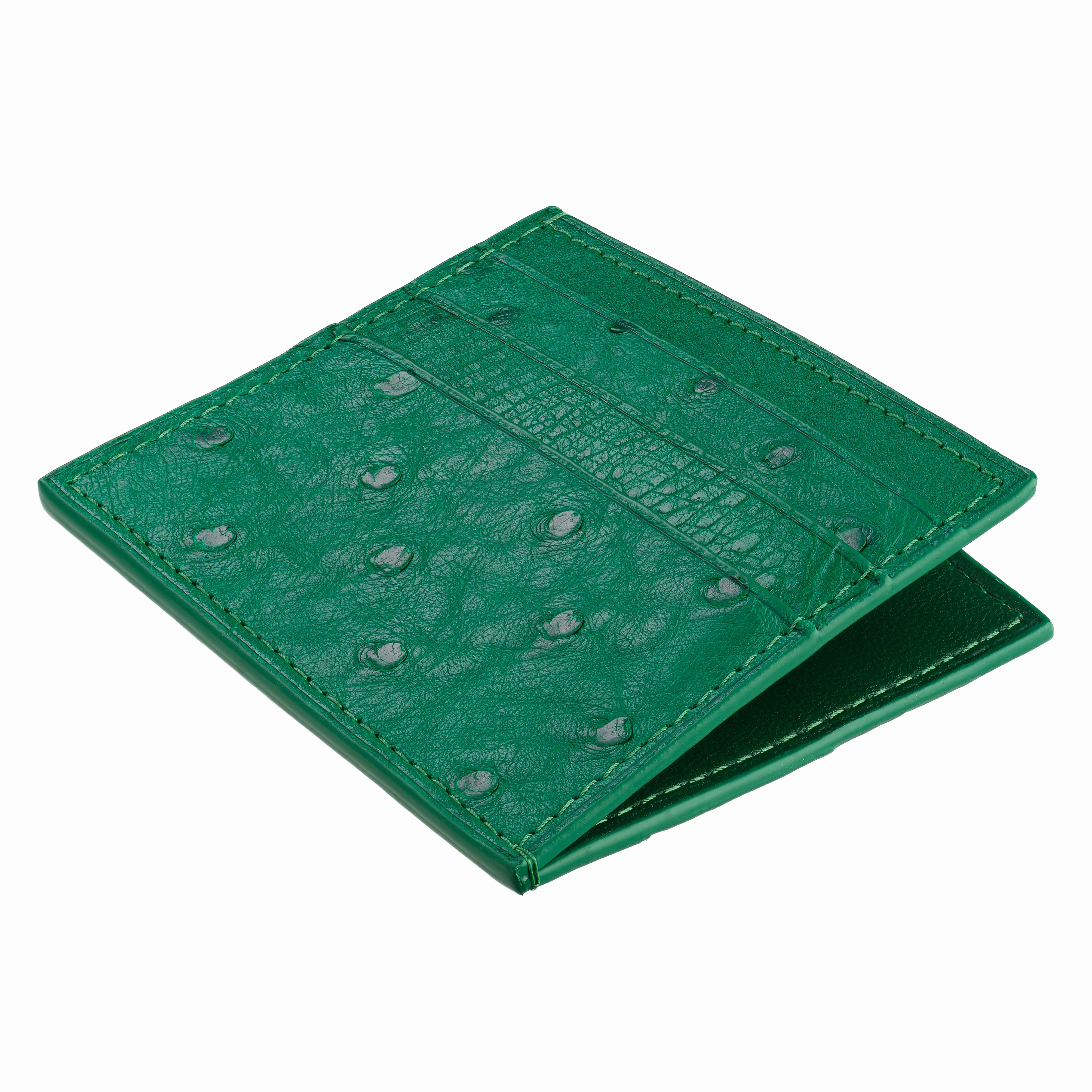 6-Card Holder in Ostrich
