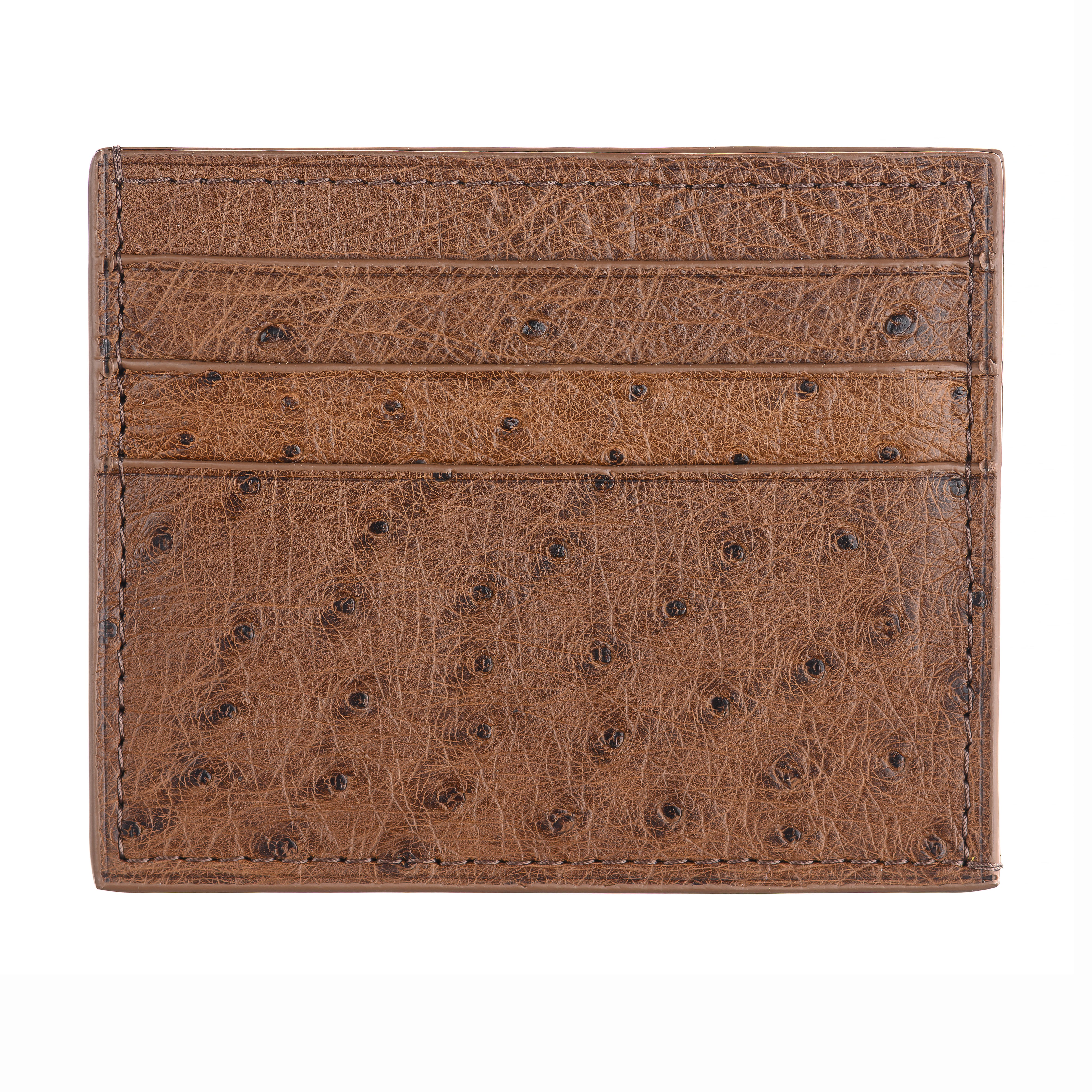 6-Card Holder in Ostrich