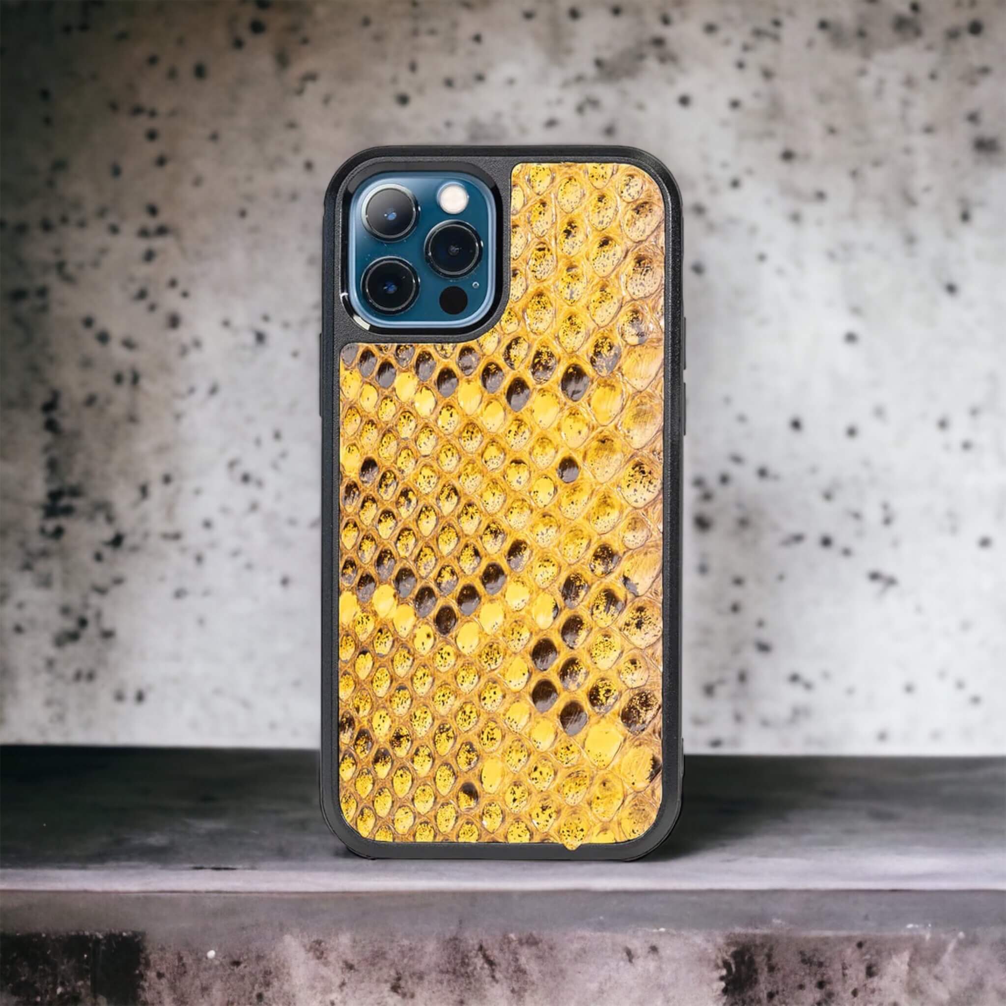 Classic Case For iPhone 12 Pro & 12 in Python