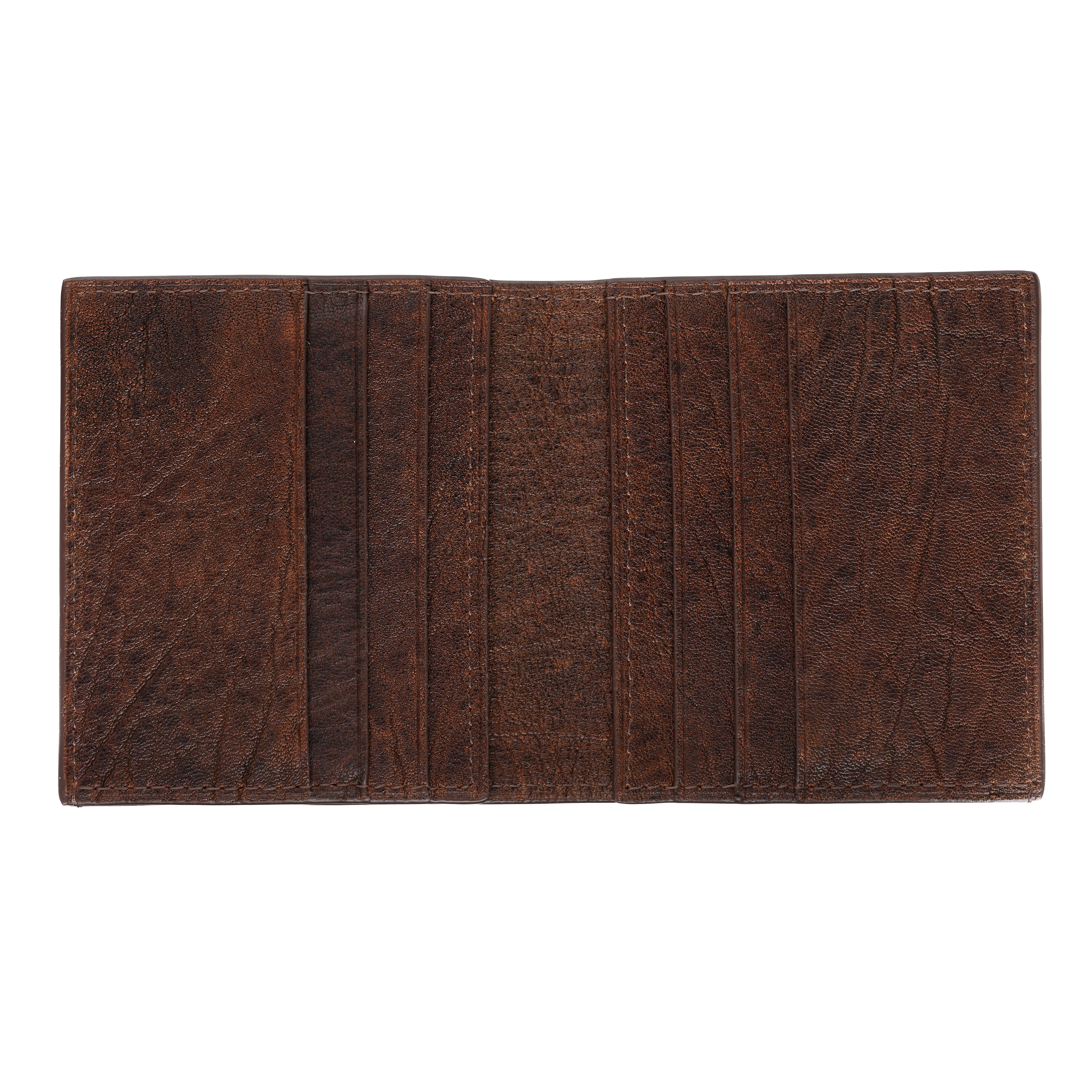 Slim Wallet in Alligator