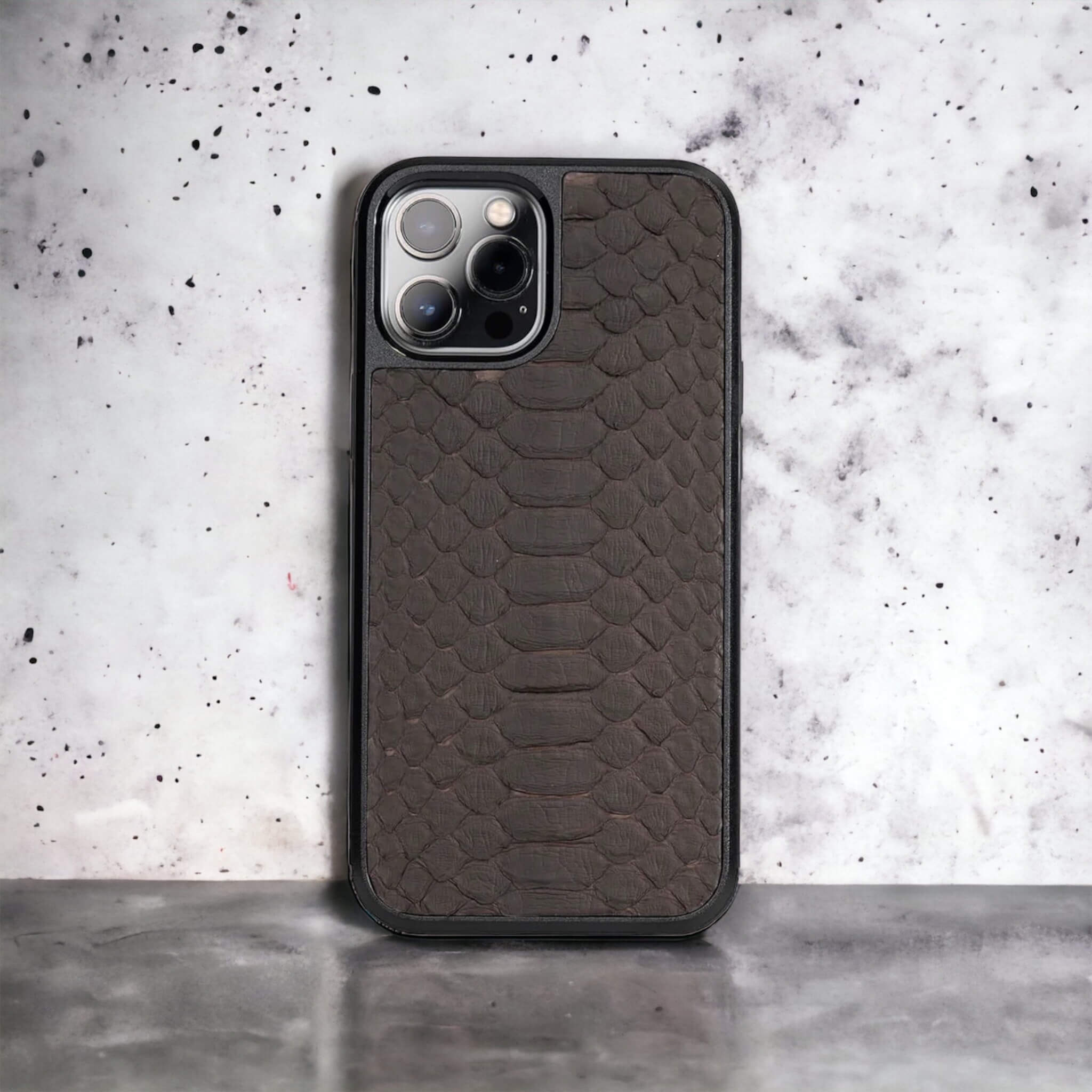 Classic Case For iPhone 12 Pro Max in Python