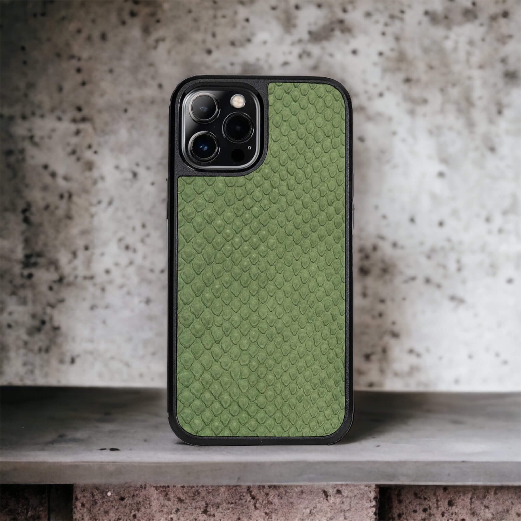 Classic Case For iPhone 12 Pro Max in Python