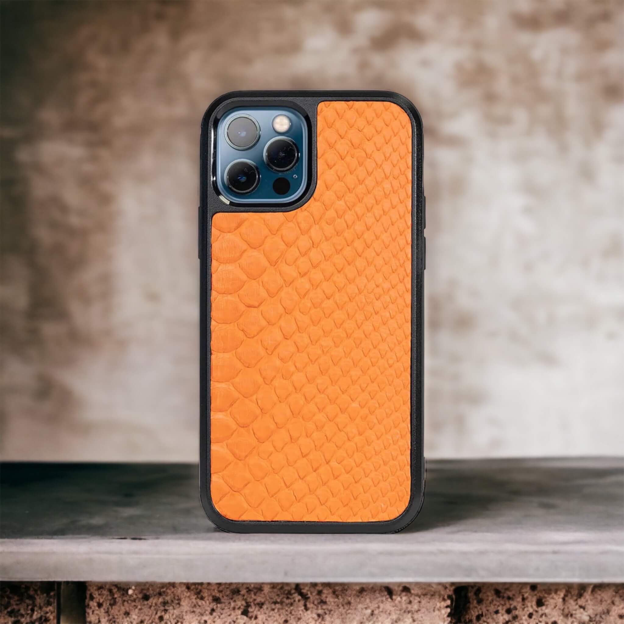 Classic Case For iPhone 12 Pro & 12 in Python