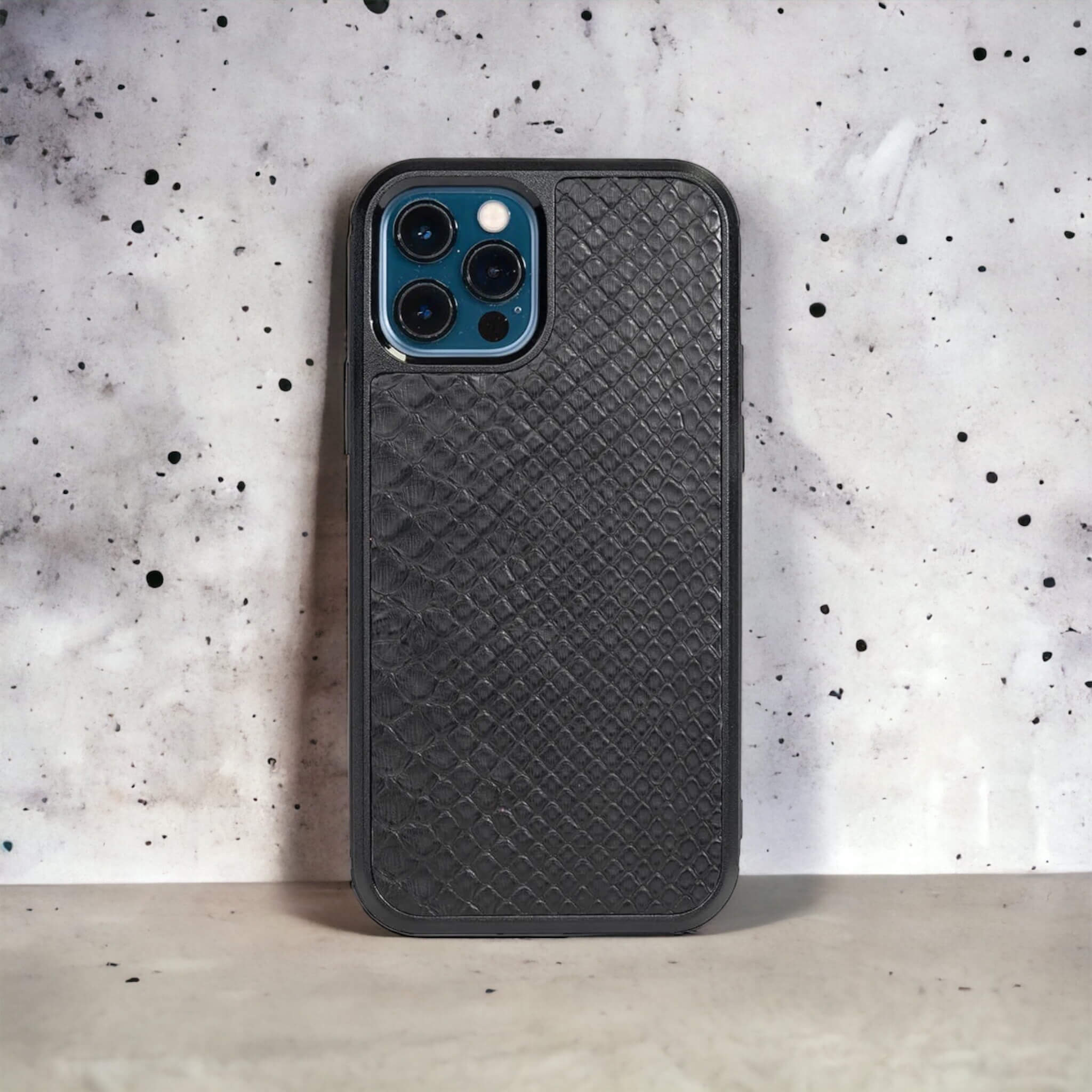 Classic Case For iPhone 12 Pro & 12 in Python