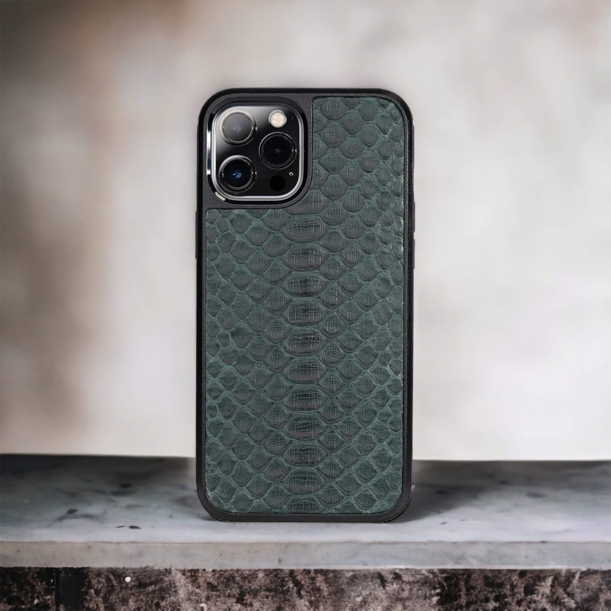 Classic Case For iPhone 12 Pro Max in Python