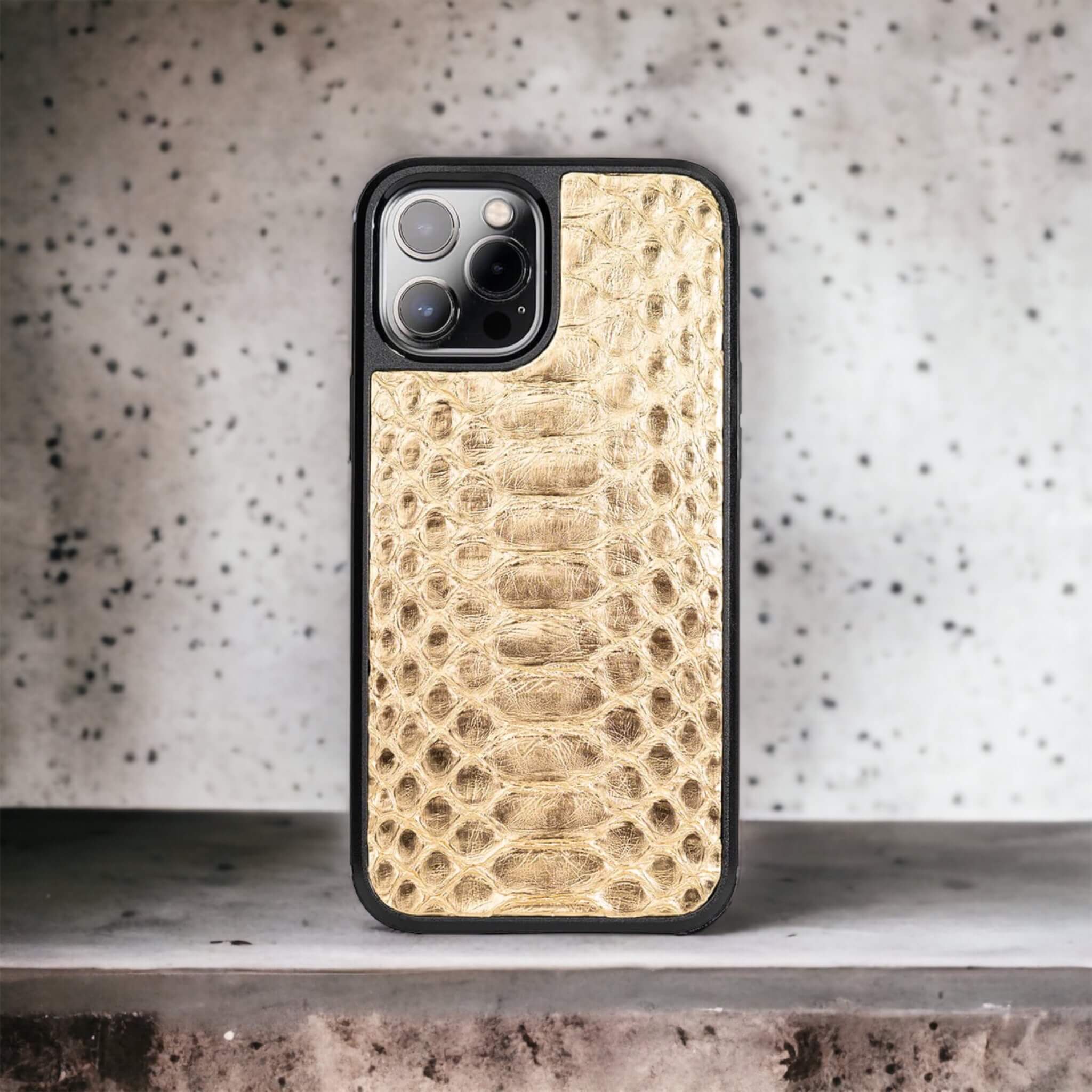 Classic Case For iPhone 12 Pro Max in Python