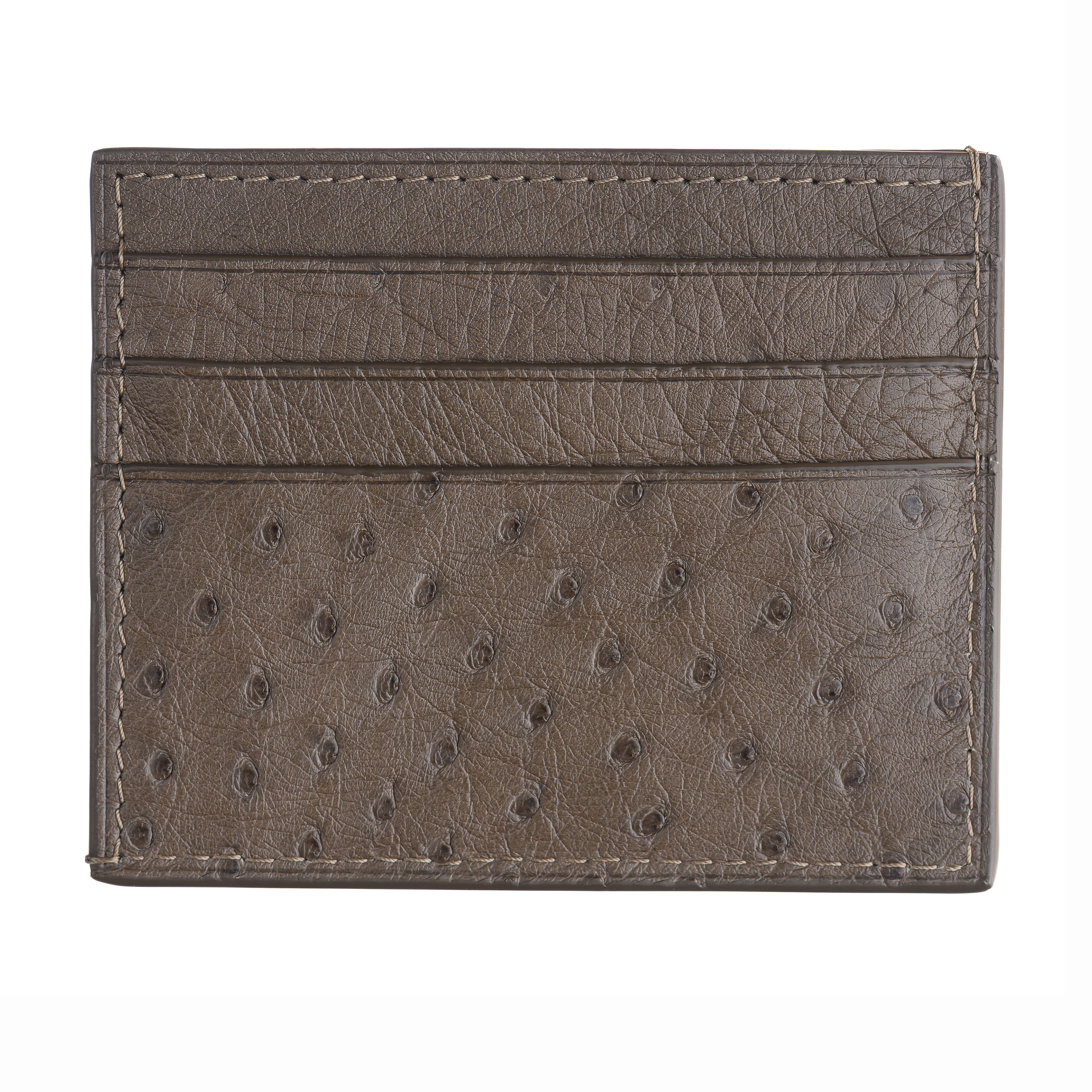 6-Card Holder in Ostrich