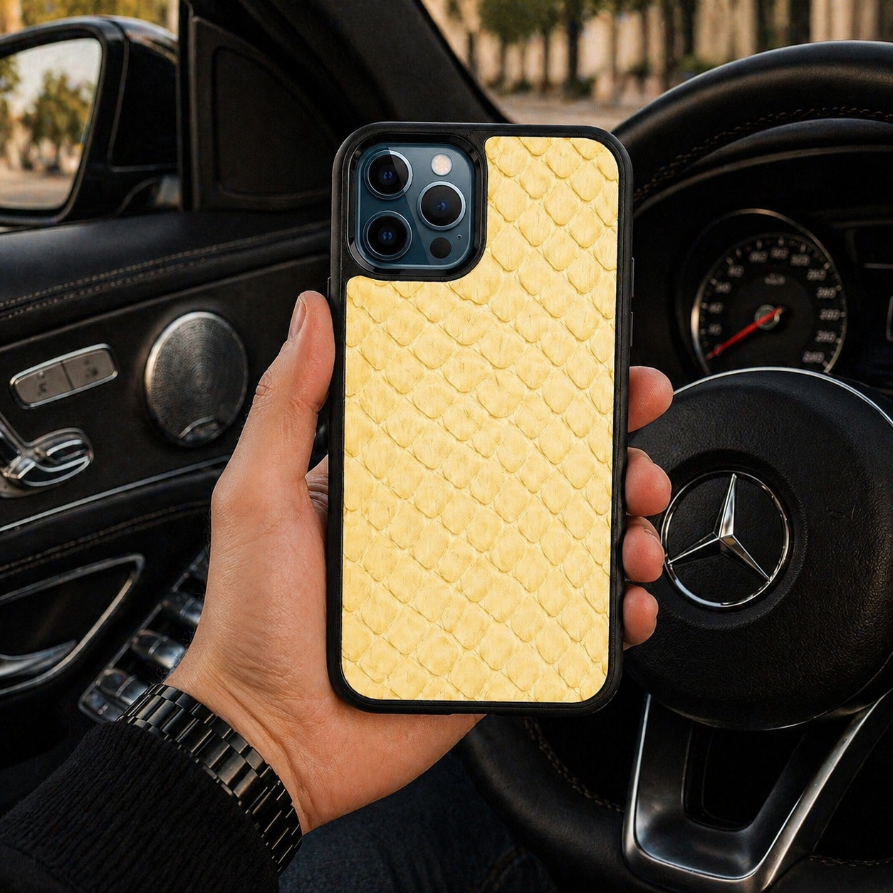 Classic Case For iPhone 12 Pro & 12 in Python