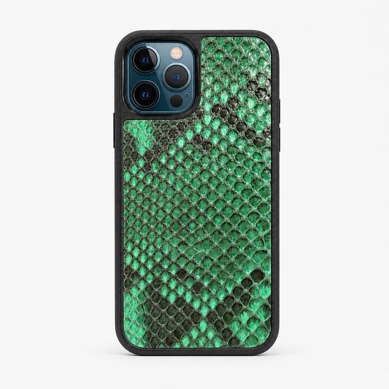 Classic Case For iPhone 12 Pro & 12 in Python