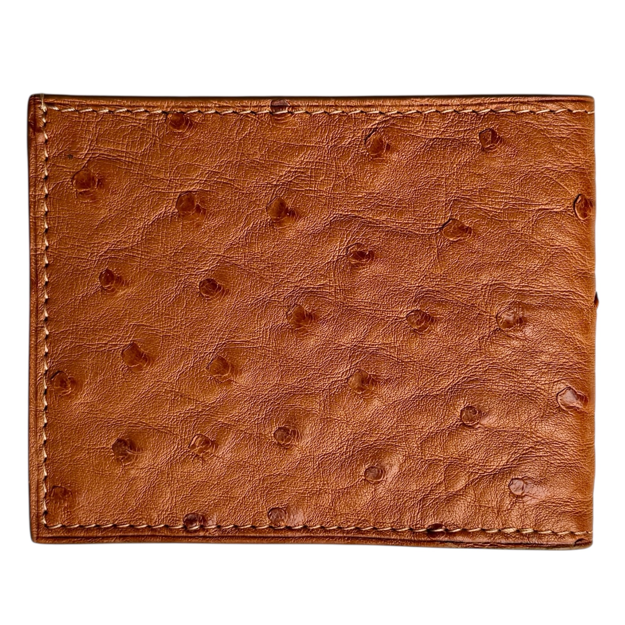Bi-fold Wallet In Ostrich