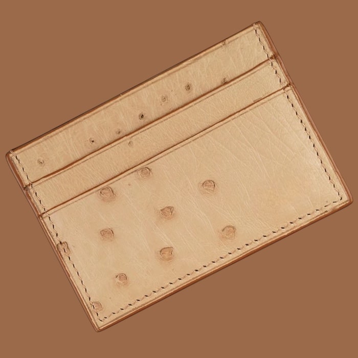 Card Holder in Ostrich