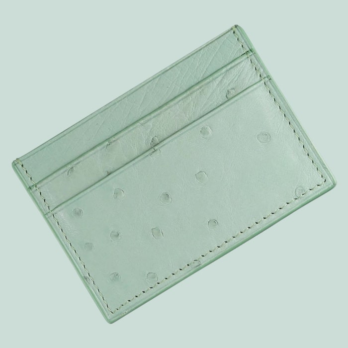 Card Holder in Ostrich