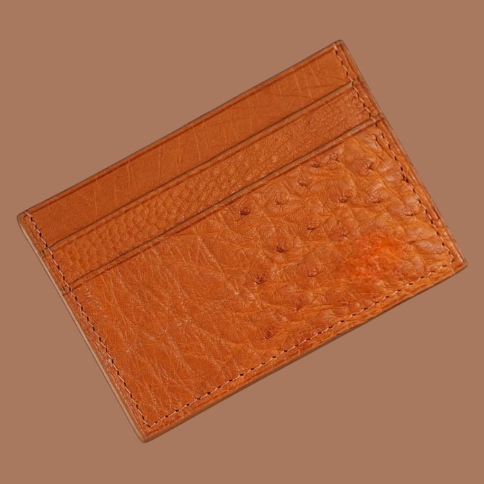 Card Holder in Ostrich