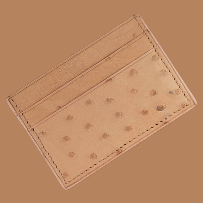 Card Holder in Ostrich