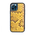 Classic Case For iPhone 12 Pro & 12 in Python