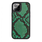 Classic Case For iPhone 12 Pro Max in Python