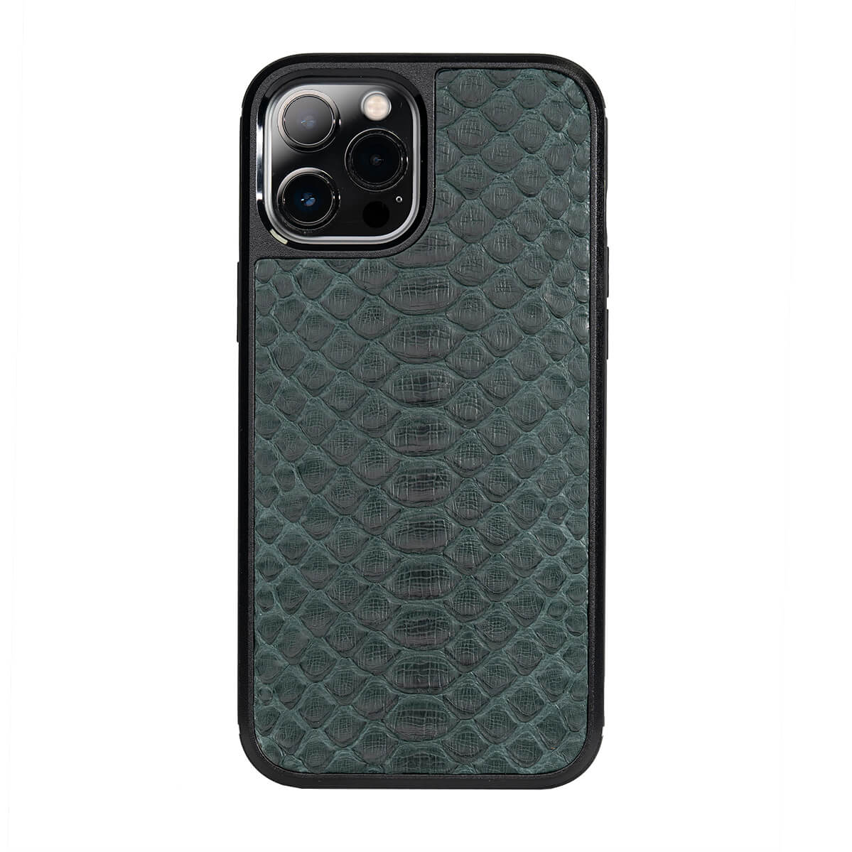 Classic Case For iPhone 12 Pro Max in Python