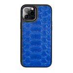 Classic Case For iPhone 12 Pro Max in Python