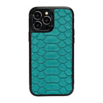 Classic Case For iPhone 13 Pro Max in Python