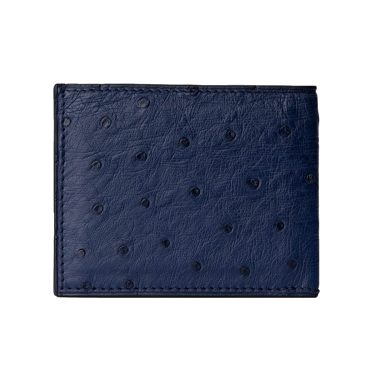 Card holder OSTRICH LEATHER BOLD BLUE buy with delivery - leather goods  from A&V